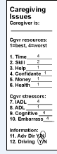 Caregiving Issues